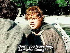samwise gamgee GIF