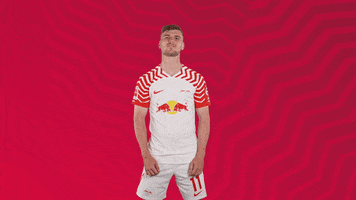 What Do You Want Whatever GIF by RB Leipzig