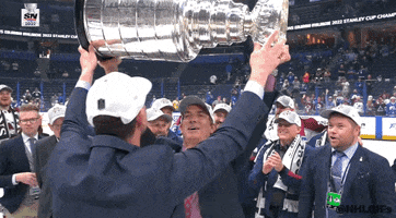 Stanley Cup Hockey GIF by NHL
