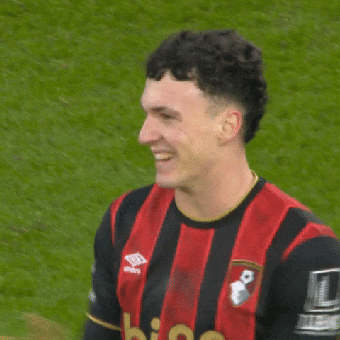 Happy Premier League GIF by AFC Bournemouth