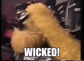 Video gif. Furry orange puppet wearing leather lifts its goggles off of its eyes and looks at us. Text, “Wicked.”