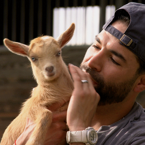 Reality TV gif. Man from Married at First Sight is holding a baby goat to his face and petting it ever so gently.