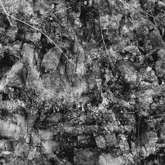 Earth Rocks GIF by Trevor Anderson