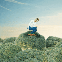 adblocker-hungry-for-change-simple-feast-6rTT3OlI7ZXTdYvuZO