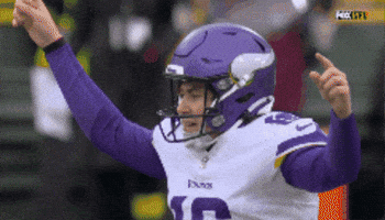 Skolvikings GIF by Minnesota Vikings