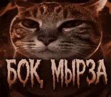 Қазақша Мемдер GIF