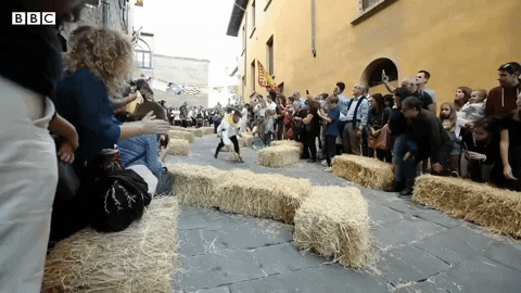 Animated GIF - Find & Share on GIPHY