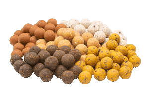 Tijgernotenkopen.nl Sticker