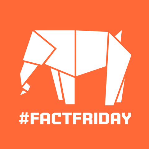 Friday Fact GIF by Neongreen Network