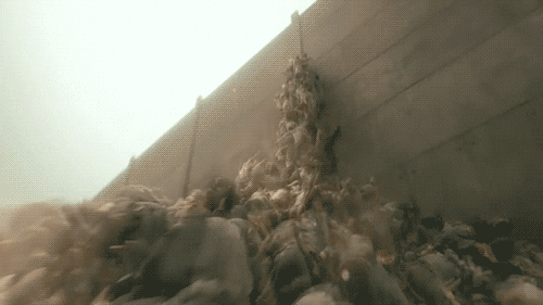 world war z running GIF