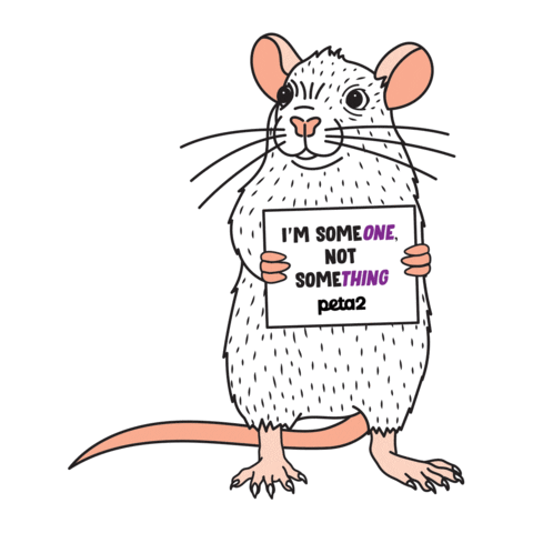 Mouse Rat Sticker by PETA