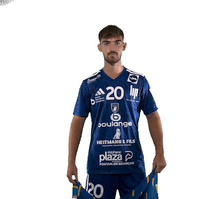 Hand Lion Sticker by GRAND BESANÇON DOUBS HANDBALL