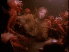 nadavneuman  GIF