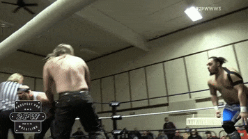 Pittsburgh GIF