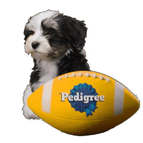 Dog Food Sticker by PEDIGREE US