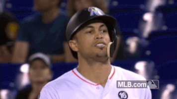 Miami Marlins Pointing GIF by MLB