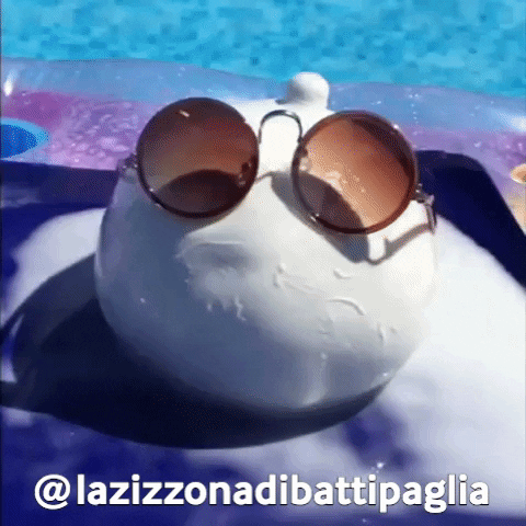like a boss swimming GIF by La Zizzona di Battipaglia®
