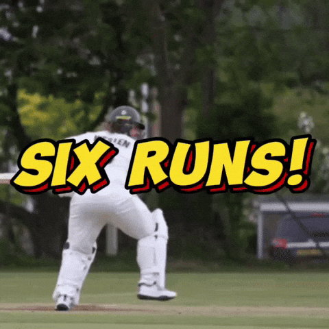 Ipl T20 GIF by Luke Westen