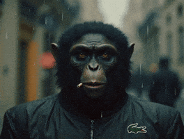 Fr GIF