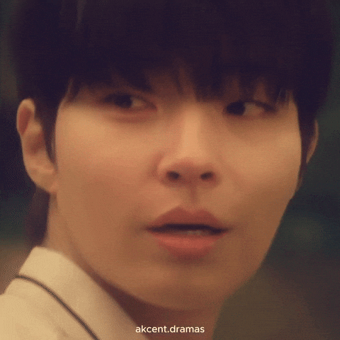 Akcent48 GIF