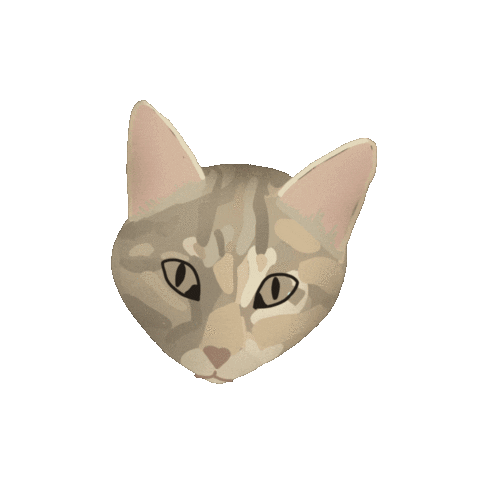 Cat Sticker