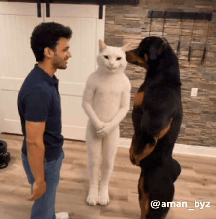 Amanbyz GIF