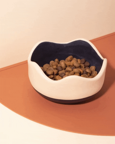 GIF by AwooPets