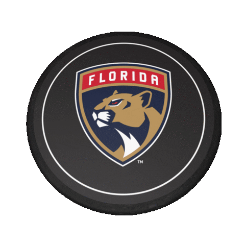Ice Hockey Sticker by Florida Panthers