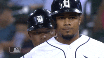 Sport Reaction GIF by Detroit Tigers