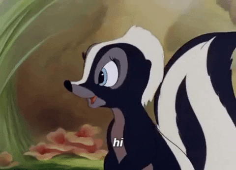 Cute Skunk GIFs - Get the best GIF on GIPHY