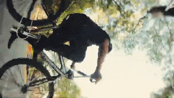 GIF by Eryn Martin