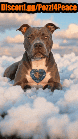 GIF by PozziRecycles