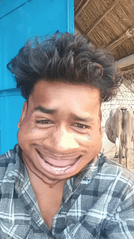 Funny Face Laughing GIF