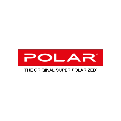 POLAR_Sunglasses Sticker