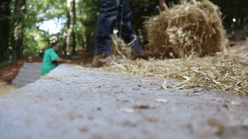 Hay Straw GIF by JC Property Professionals
