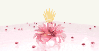 CALHER DELAETER GIF