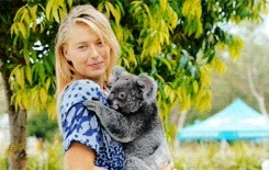 Maria Sharapova Sport GIF