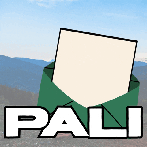 Summer Camp GIF by Pali Institute
