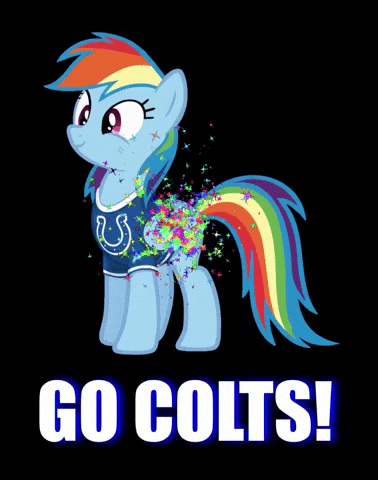 Coltsandponies GIF