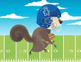 Happy Football GIF by Educational Insights