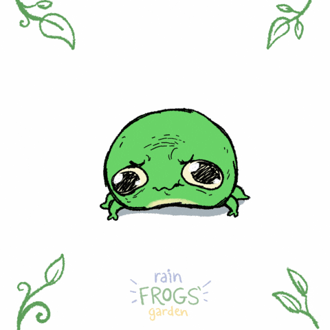 Rain Frog Smile GIF