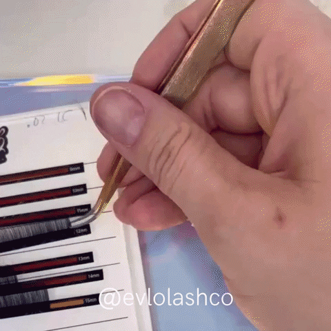 Eyelashextensions GIF