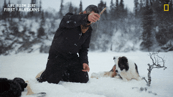 Dog Snow GIF by National Geographic Channel