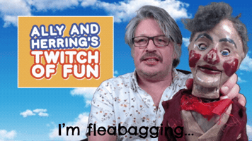 Ally GIF