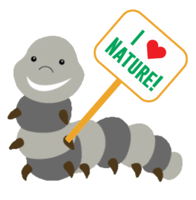 Sticker by Insect Lore