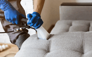 Upholstery Cleaning Kingston Nj GIF