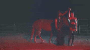 Sexy Cowboy GIF by Darius Martin