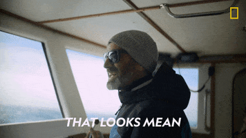 Mean Nat Geo GIF by National Geographic TV