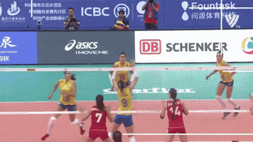 Power Wow GIF by Volleyball World