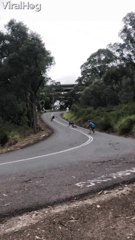 Downhill Skateboarder Takes Out Cameraman GIF by ViralHog
